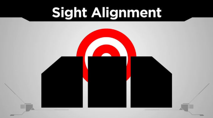 A proper and safe sight picture demonstration.